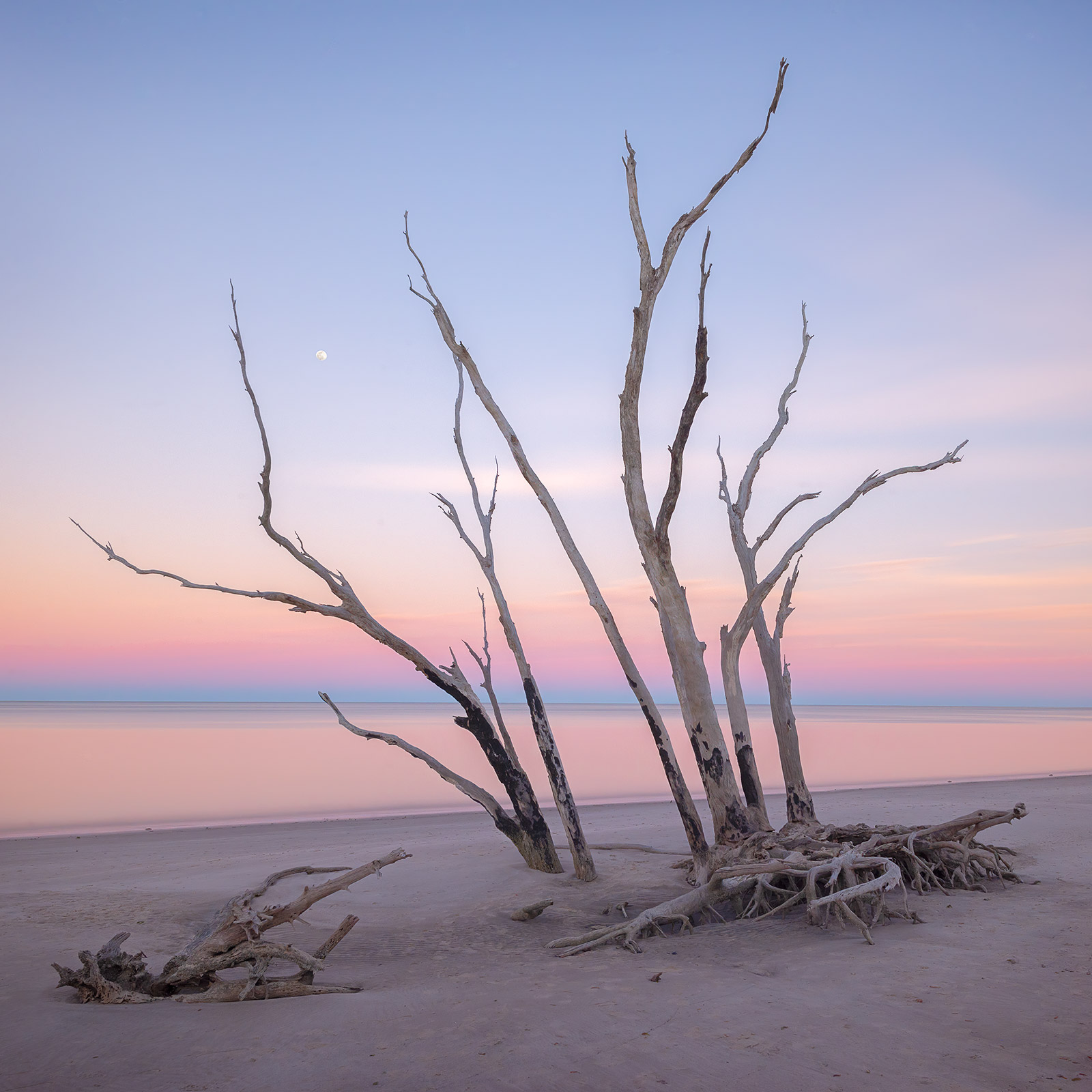 Island Moonrise Big Talbot Island Florida Robert Rommel Photography